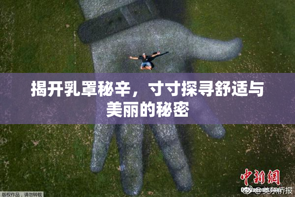 揭开乳罩秘辛，寸寸探寻舒适与美丽的秘密