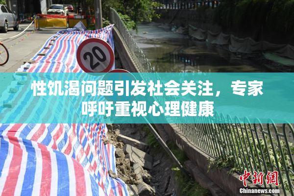 性饥渴问题引发社会关注，专家呼吁重视心理健康