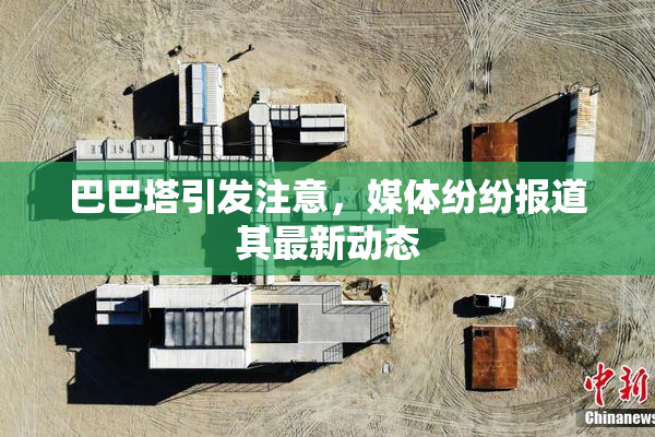 巴巴塔引发注意，媒体纷纷报道其最新动态