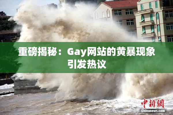 重磅揭秘：Gay网站的黄暴现象引发热议