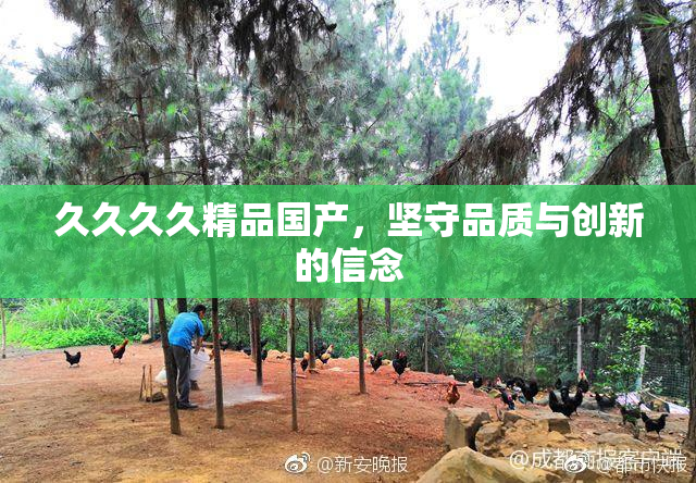 久久久久精品国产，坚守品质与创新的信念