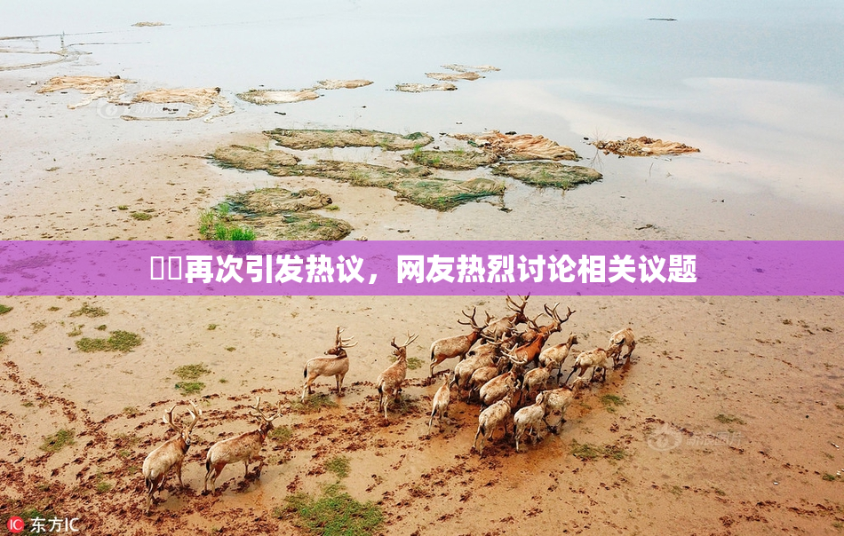 妺妺再次引发热议，网友热烈讨论相关议题