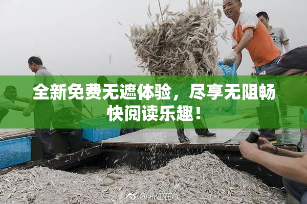 全新免费无遮体验，尽享无阻畅快阅读乐趣！