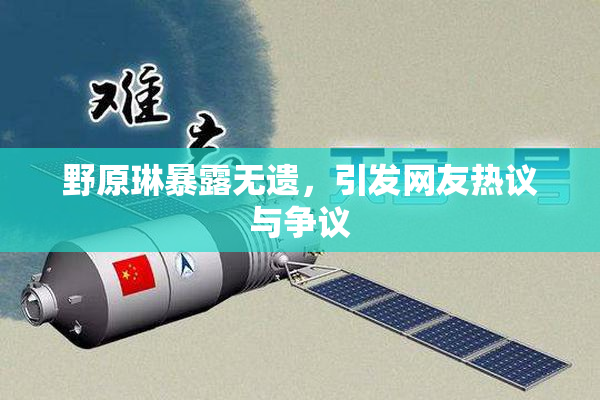 野原琳暴露无遗，引发网友热议与争议