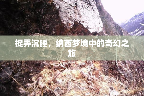 捉弄沉睡，纳西梦境中的奇幻之旅