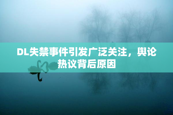 DL失禁事件引发广泛关注，舆论热议背后原因