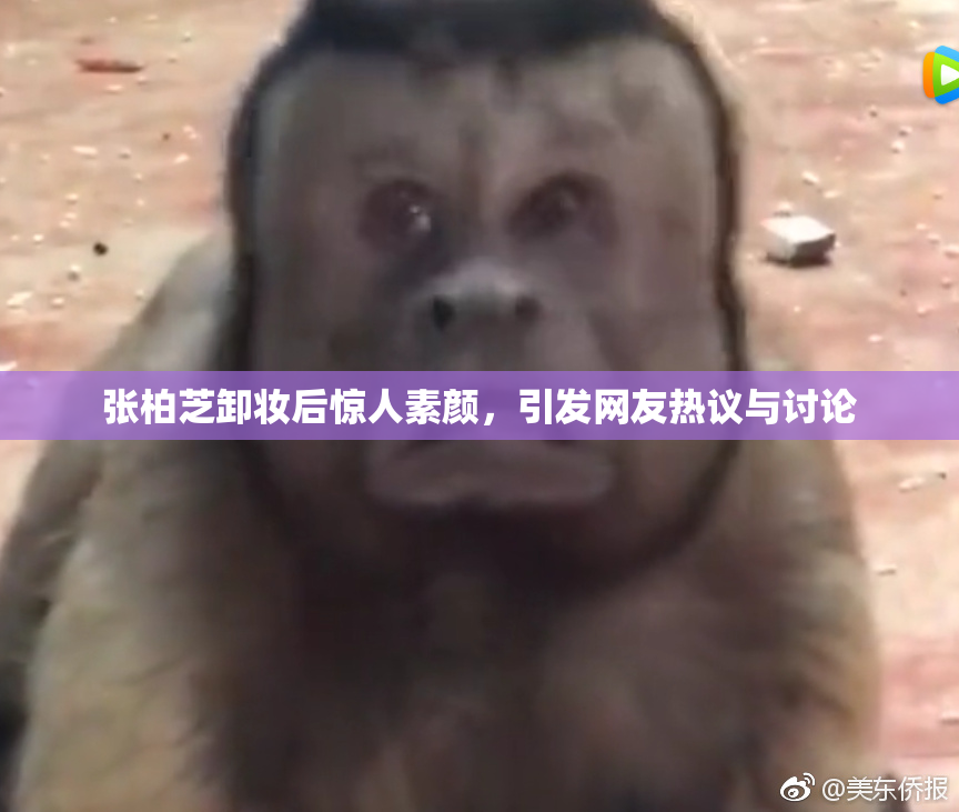 张柏芝卸妆后惊人素颜，引发网友热议与讨论