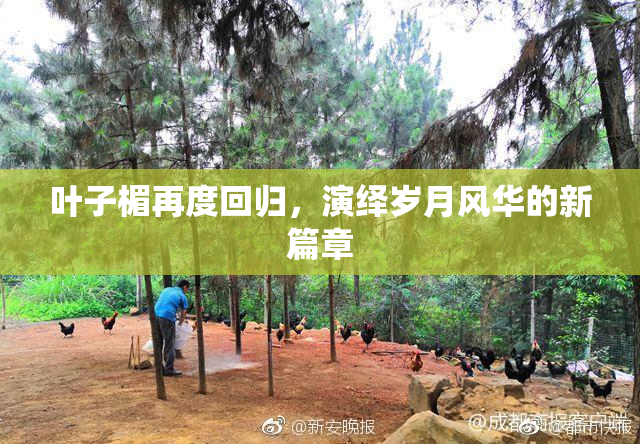 叶子楣再度回归，演绎岁月风华的新篇章