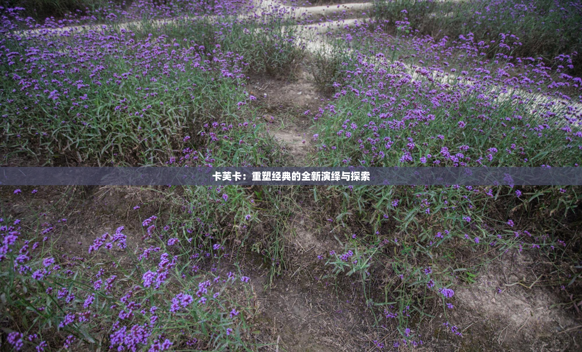 卡芙卡：重塑经典的全新演绎与探索