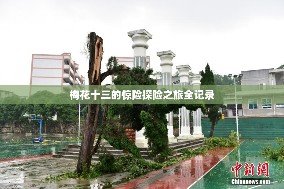 梅花十三的惊险探险之旅全记录