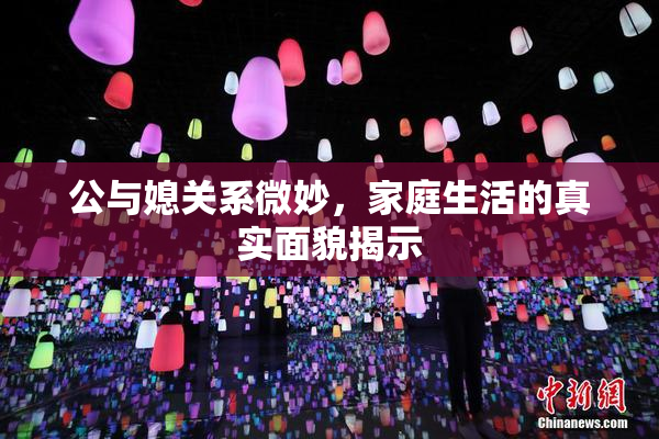 公与媳关系微妙，家庭生活的真实面貌揭示