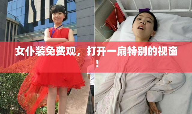 女仆装免费观，打开一扇特别的视窗！