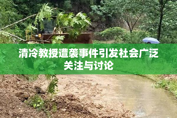 清冷教授遭袭事件引发社会广泛关注与讨论