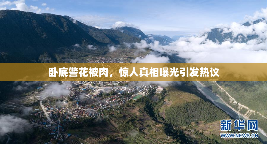 卧底警花被肉，惊人真相曝光引发热议