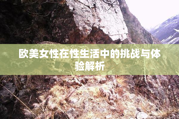 欧美女性在性生活中的挑战与体验解析
