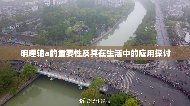 明理轴a的重要性及其在生活中的应用探讨