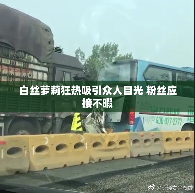 白丝萝莉狂热吸引众人目光 粉丝应接不暇