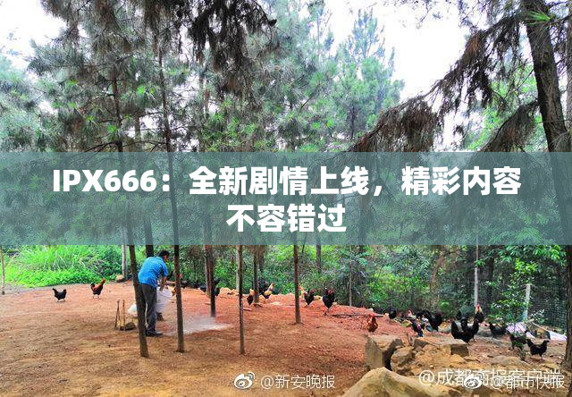 IPX666：全新剧情上线，精彩内容不容错过