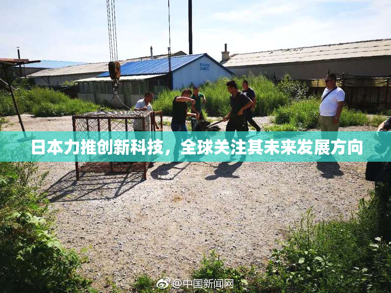 日本力推创新科技，全球关注其未来发展方向