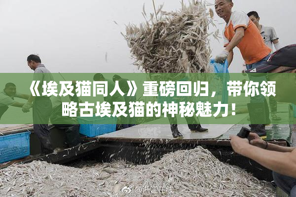 《埃及猫同人》重磅回归，带你领略古埃及猫的神秘魅力！