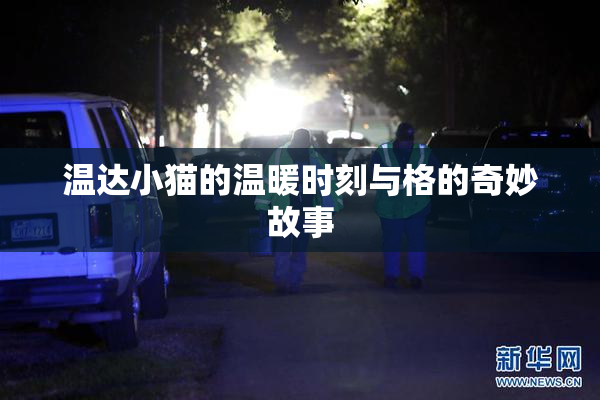 温达小猫的温暖时刻与格的奇妙故事