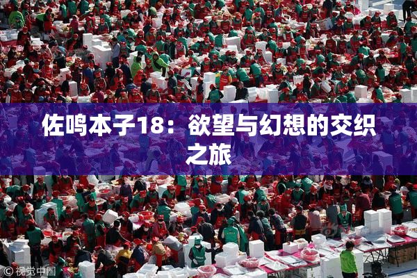 佐鸣本子18：欲望与幻想的交织之旅