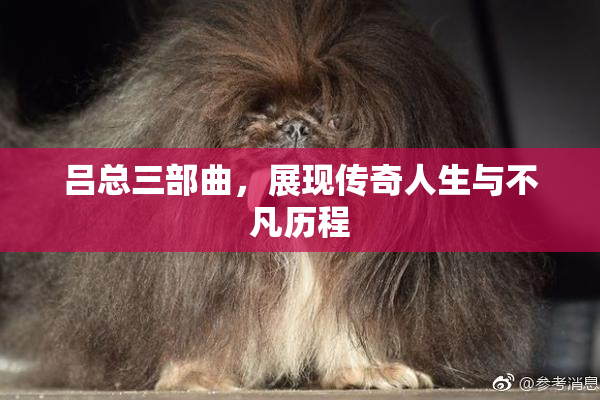 吕总三部曲，展现传奇人生与不凡历程