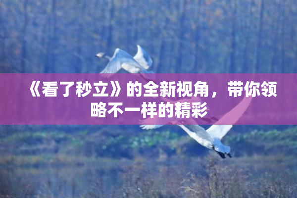 《看了秒立》的全新视角，带你领略不一样的精彩