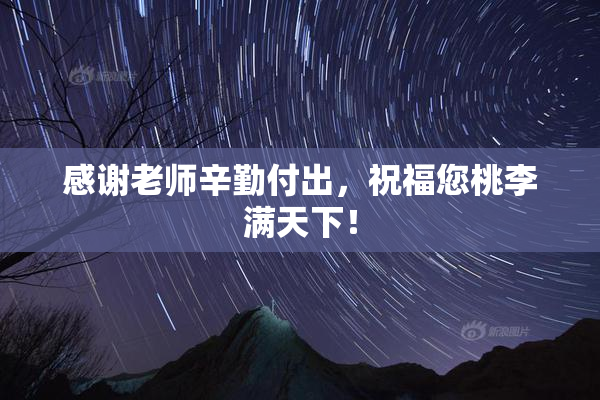 感谢老师辛勤付出，祝福您桃李满天下！