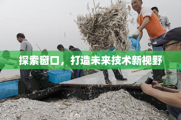 探索窗口，打造未来技术新视野