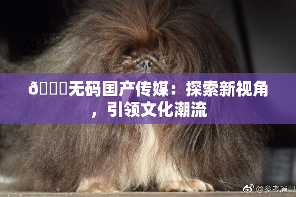 🔞无码国产传媒：探索新视角，引领文化潮流