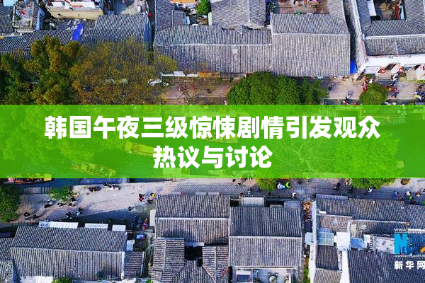 韩国午夜三级惊悚剧情引发观众热议与讨论