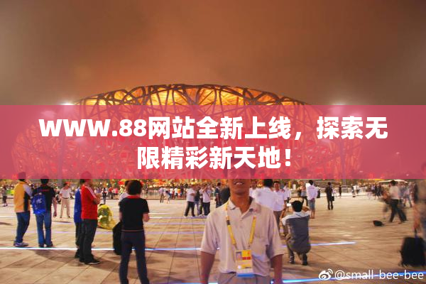 WWW.88网站全新上线，探索无限精彩新天地！