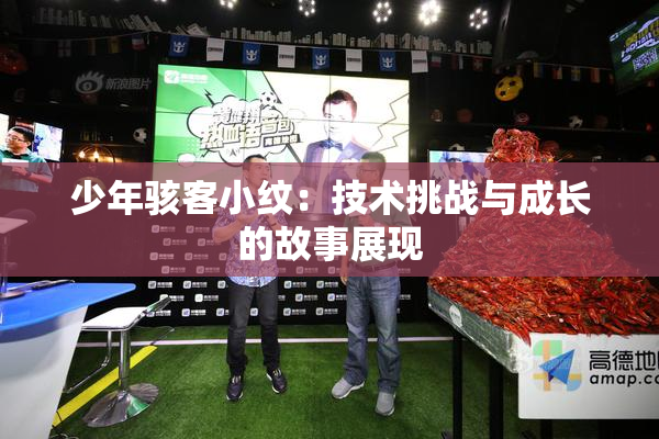 少年骇客小纹：技术挑战与成长的故事展现