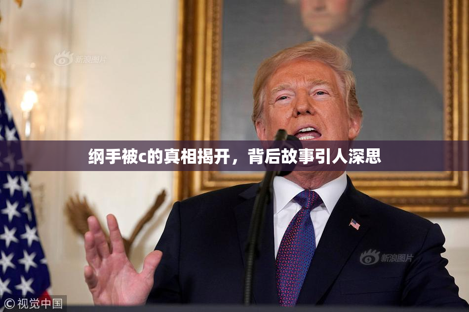 纲手被c的真相揭开，背后故事引人深思