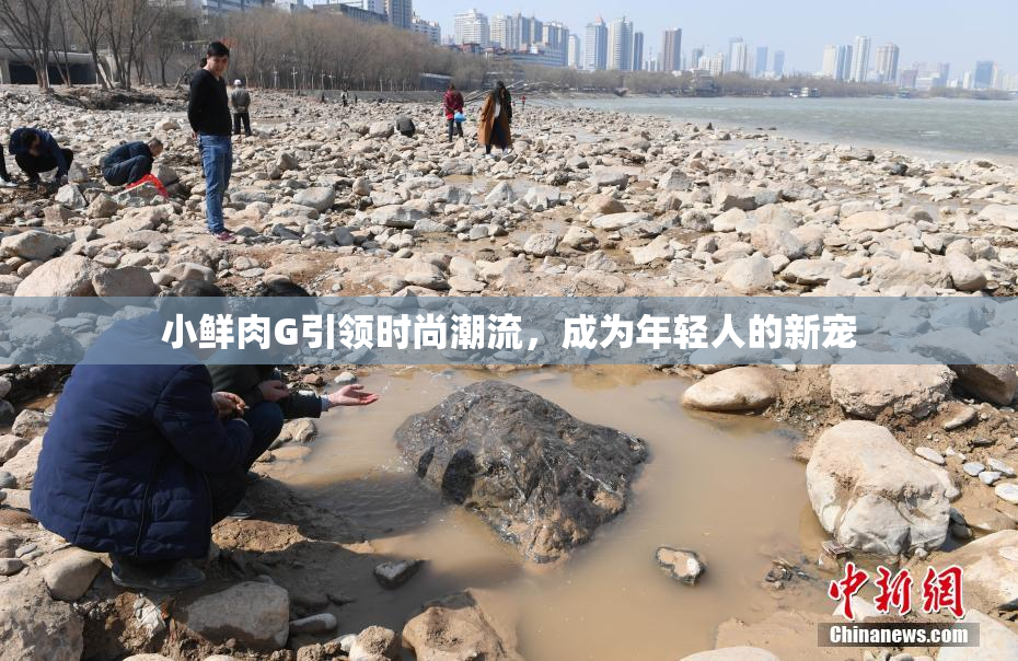 小鲜肉G引领时尚潮流，成为年轻人的新宠