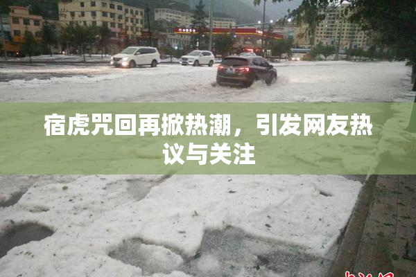 宿虎咒回再掀热潮，引发网友热议与关注