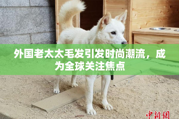 外国老太太毛发引发时尚潮流，成为全球关注焦点