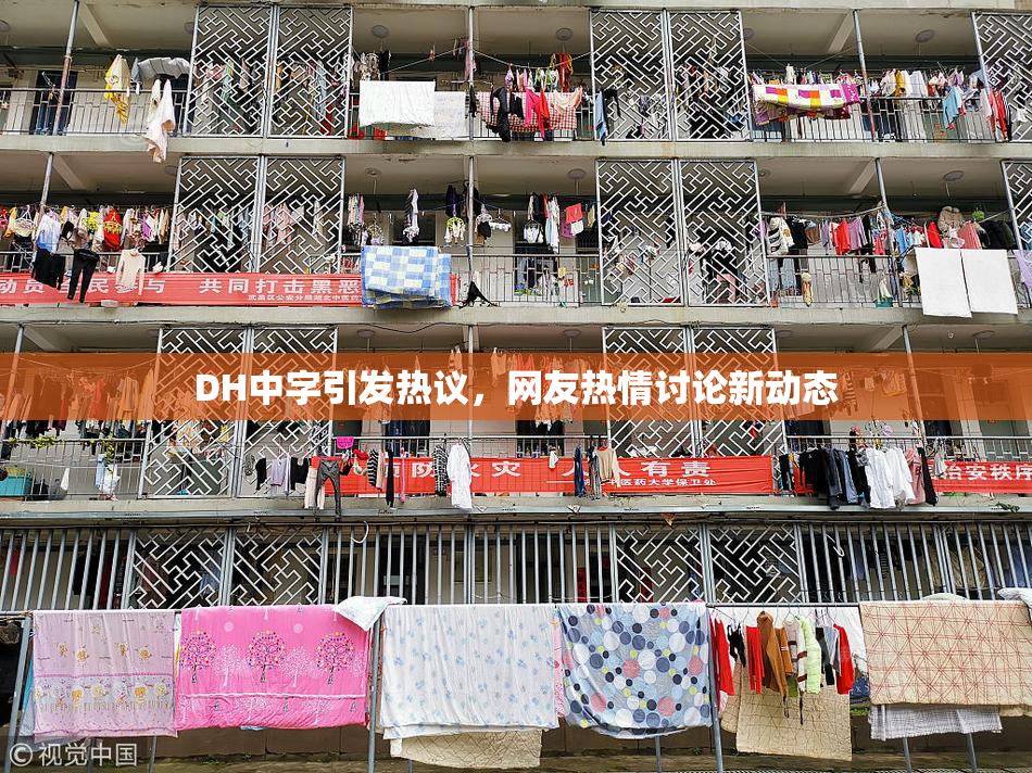 DH中字引发热议，网友热情讨论新动态