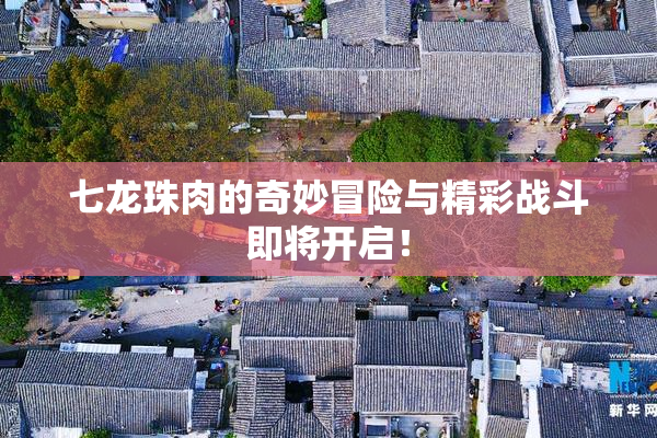 七龙珠肉的奇妙冒险与精彩战斗即将开启！
