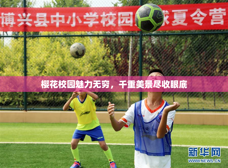 樱花校园魅力无穷，千重美景尽收眼底