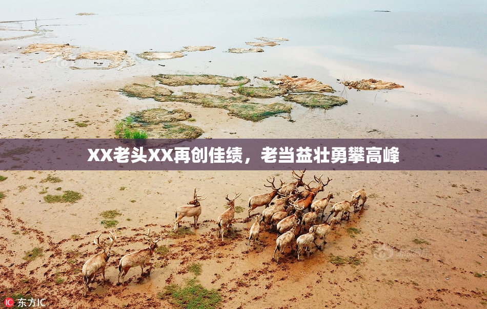 XX老头XX再创佳绩，老当益壮勇攀高峰