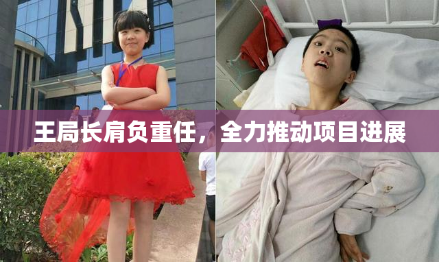 王局长肩负重任，全力推动项目进展