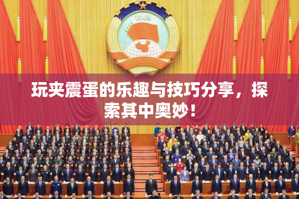 玩夹震蛋的乐趣与技巧分享，探索其中奥妙！
