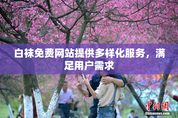 白袜免费网站提供多样化服务，满足用户需求