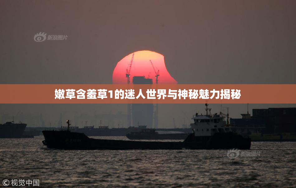 嫩草含羞草1的迷人世界与神秘魅力揭秘