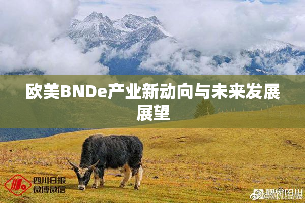 欧美BNDe产业新动向与未来发展展望