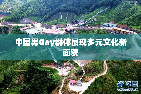 中国男Gay群体展现多元文化新面貌