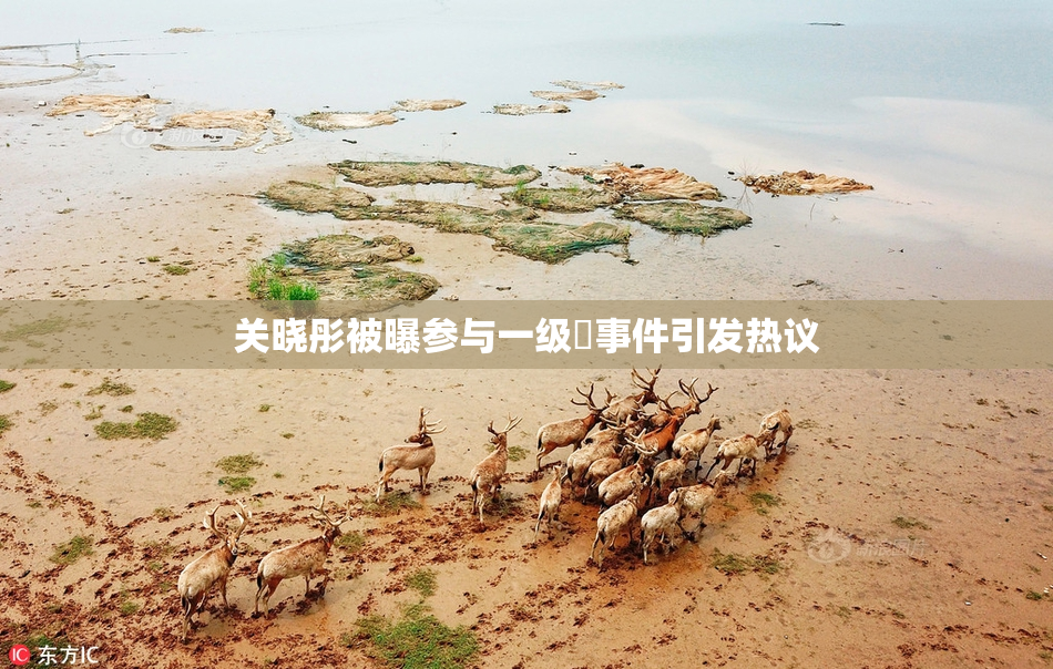 关晓彤被曝参与一级婬事件引发热议
