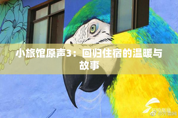 小旅馆原声3：回归住宿的温暖与故事
